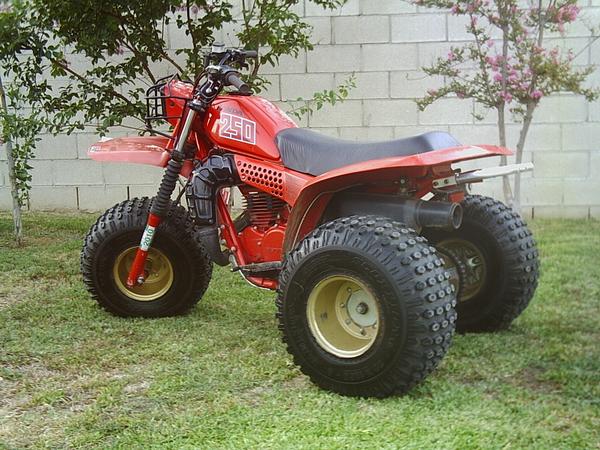 Riqos Honda 250R